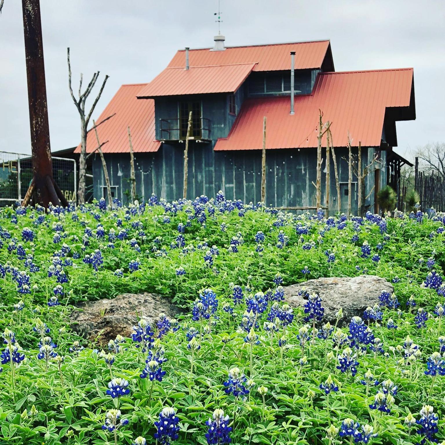 Willa Montesino Ranch Lodging Wimberley Zewnętrze zdjęcie